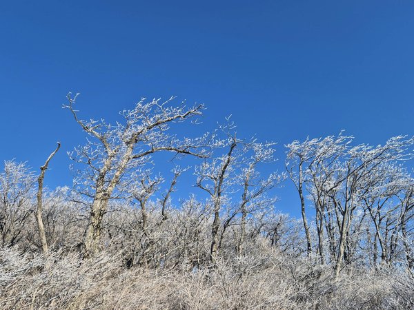 Préparer une séance photo pour célébrer l'arrivée de jumeaux